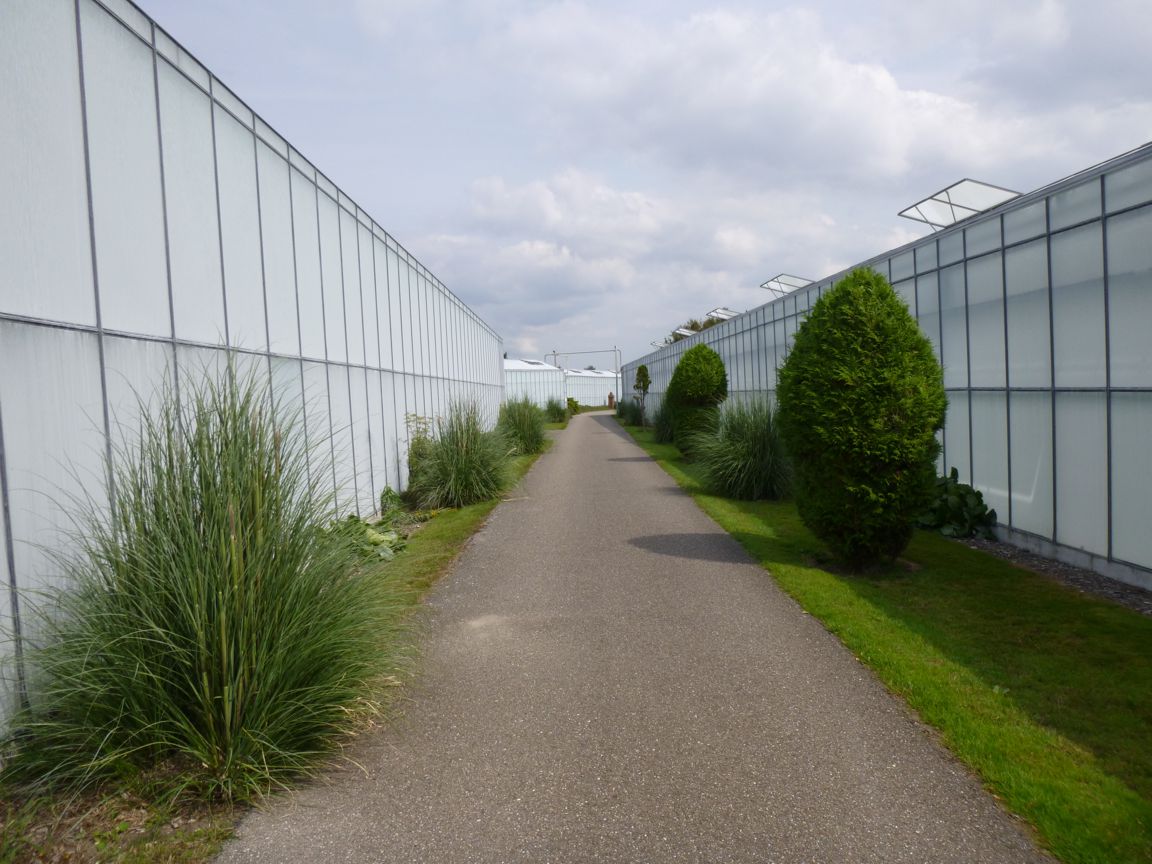 Natuurlijk Westland