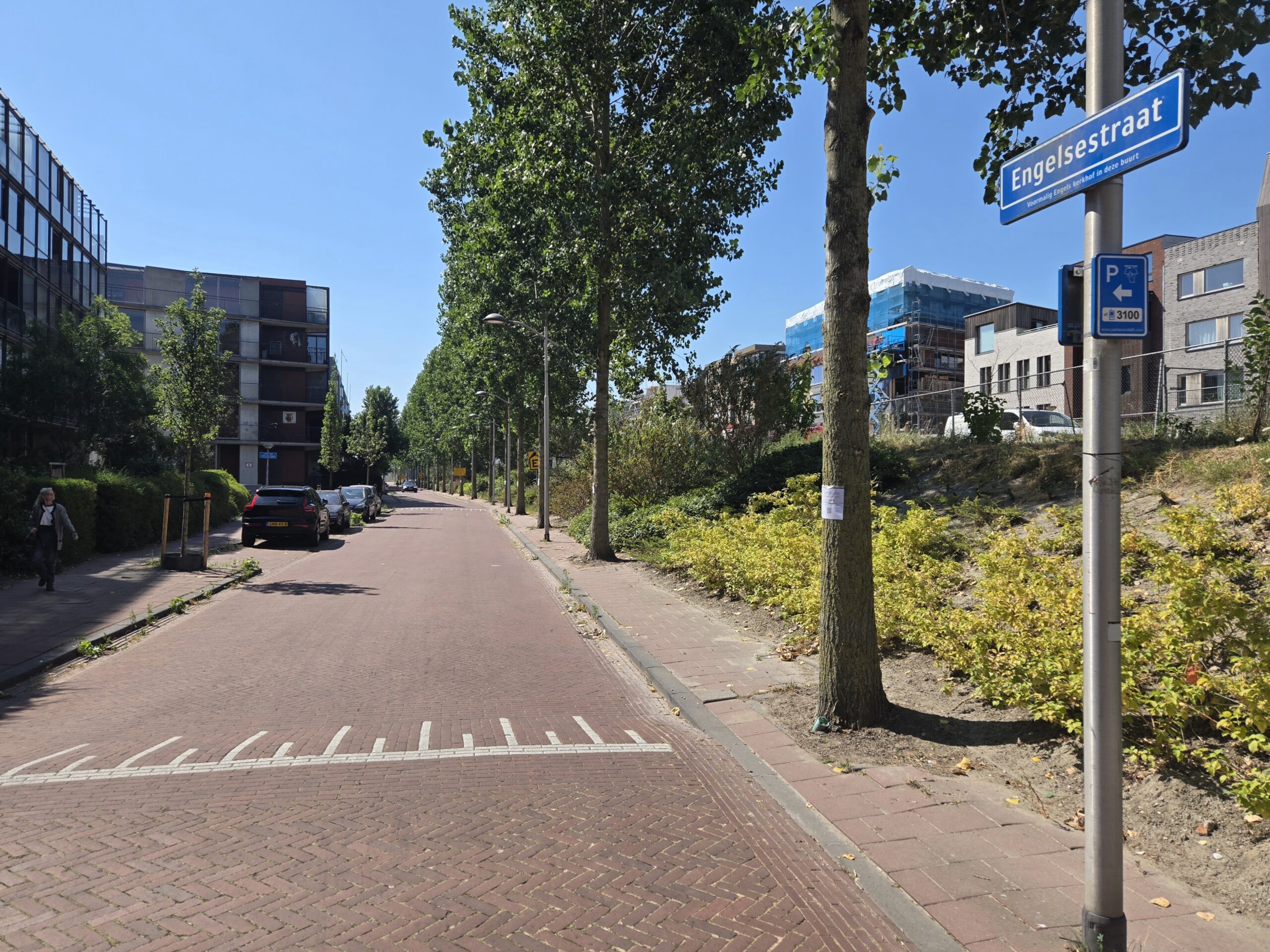 Bezwaar kap bomen Engelsestraat